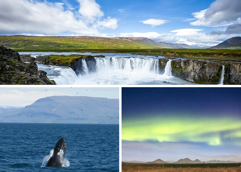 Triptych of Iceland showcasing Goðafoss waterfall, a breaching whale, and the Northern Lights.