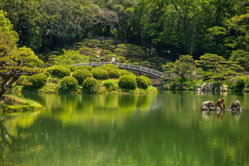 This image captures the beauty of a traditional Japanese garden in Shikoku, possibly Ritsurin Garden. A curved bridge spans a tranquil pond, reflecting the lush greenery and carefully arranged trees that characterize this serene landscape.