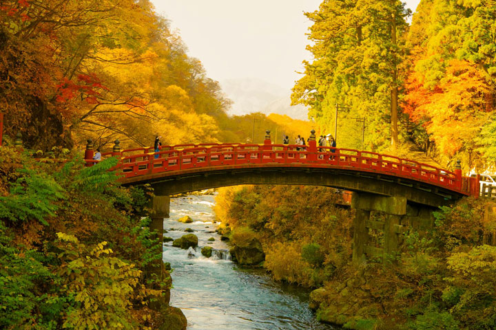 This image captures the scenic Shinkyo Bridge in Nikko, Japan, during the autumn season. The bright red bridge contrasts beautifully with the surrounding trees displaying their fall colors. The rushing river below adds to the dynamic landscape of this popular travel destination.