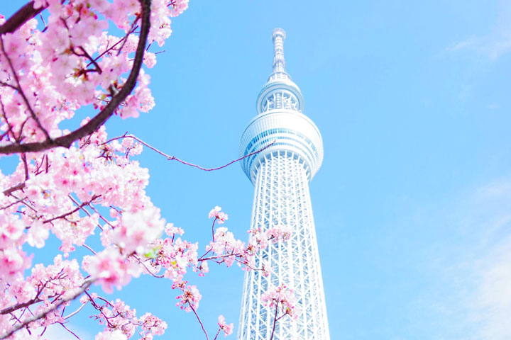 Japan Travel Guide 2025 Top 18 Places to Visit