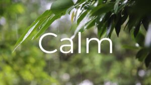 Experience the gentle rain falling over lush forest leaves, creating a peaceful ambiance for relaxation, sleep, or meditation. Let nature’s calming symphony ease your stress and bring tranquility to your mind.