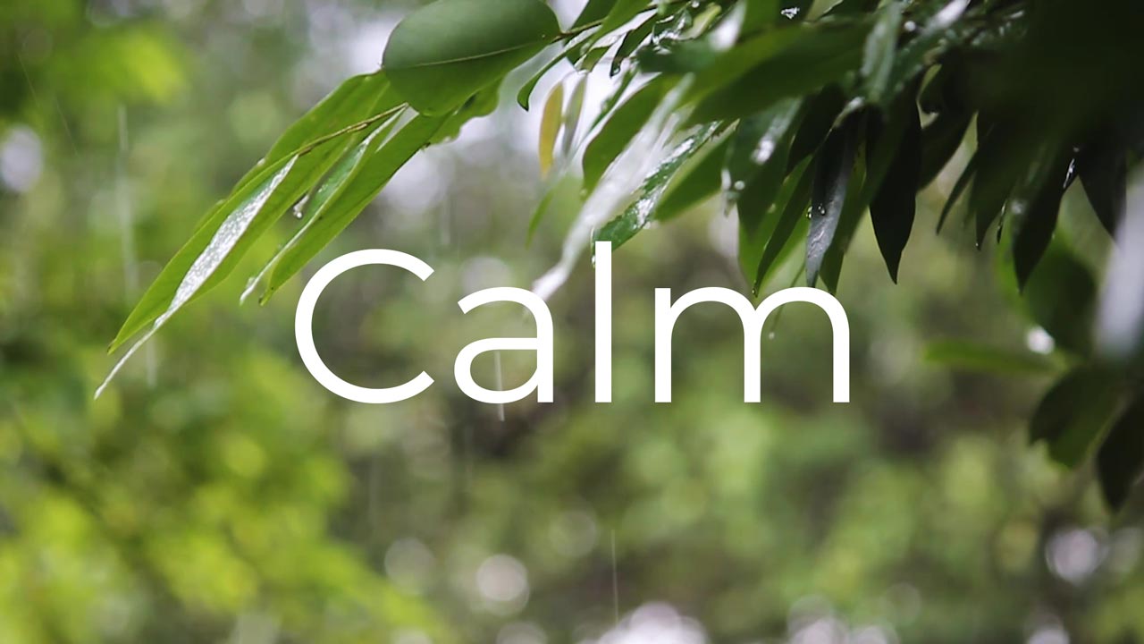 Why Nature Helps Reduce Stress: The Healing Power of Rain & Forest Sounds
